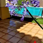 Family Friendly Next To Puerto Banus Willa Marbella