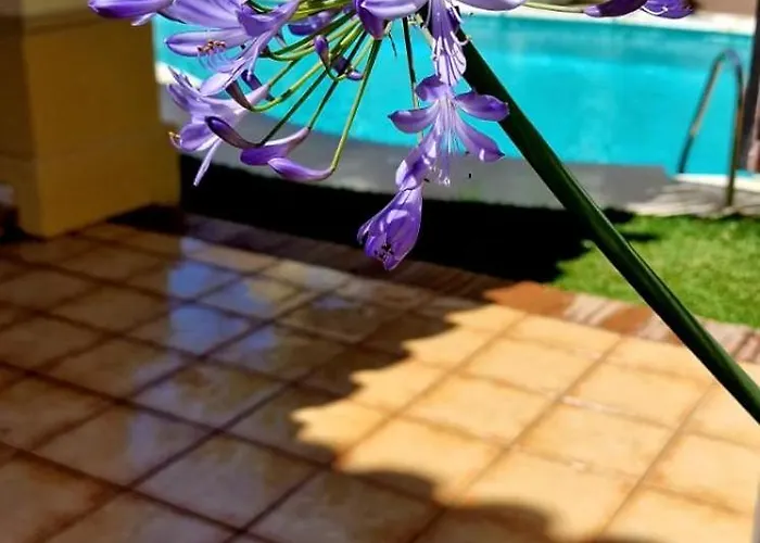 Family Friendly Next To Puerto Banus Villa Marbella