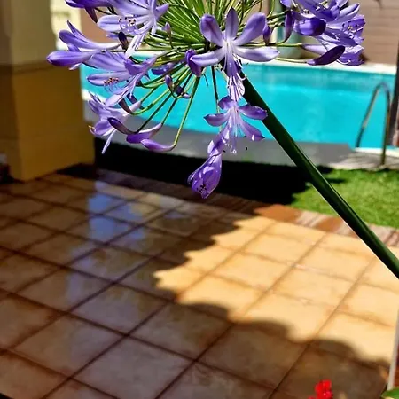 Family Friendly Next To Puerto Banus Вилла Марбелья